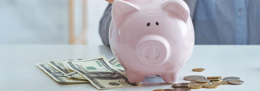 Light Commerce CU piggy bank savings